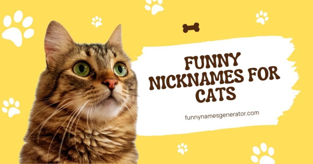 funny nicknames for cats