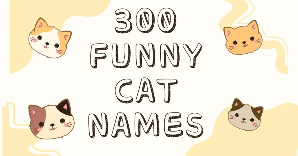 300 Funny Cat Names